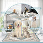 Washable Pee Pads for Dogs Large 2 Pack, 48" X 48" Reusable Puppy Pads Waterproof Dog Rugs, Super Absorbent, Leakproof, Dog Crate Pad, Playpen Mat, Whelping Pads, Blue Medallion