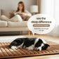 Self-heating pet mat