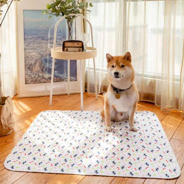 The Best Pee Pad You'll Get